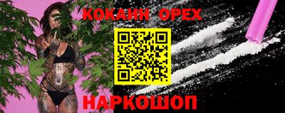бошки Тара